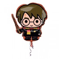 For Harry Potter